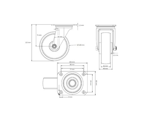 SBP25WC100P0P0R1W_drawing